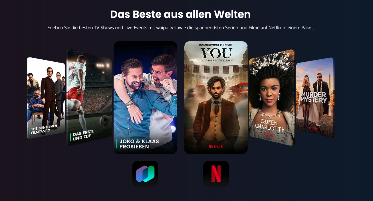 Netflix Premium mit waipu.tv Perfect Plus